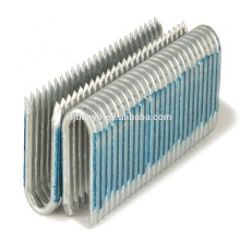 Pneumatic Hot Dipped Galvanized Staples